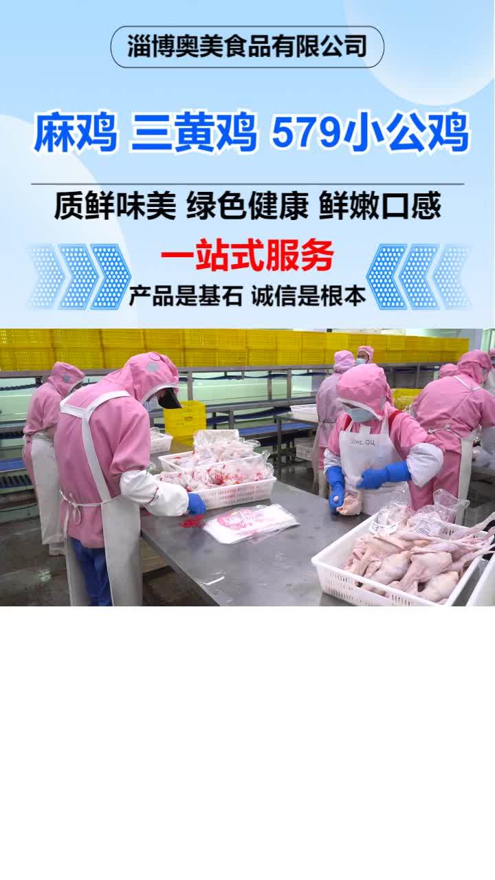 冷冻579小公鸡批发 三黄鸡加工厂
