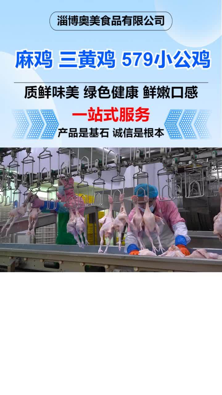冷冻579小公鸡供应链 冷冻三黄鸡价格
