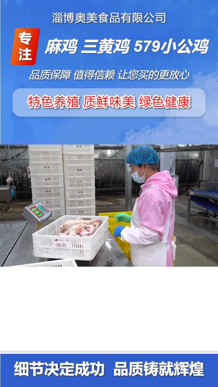 三黄鸡厂家 冷冻小公鸡价格