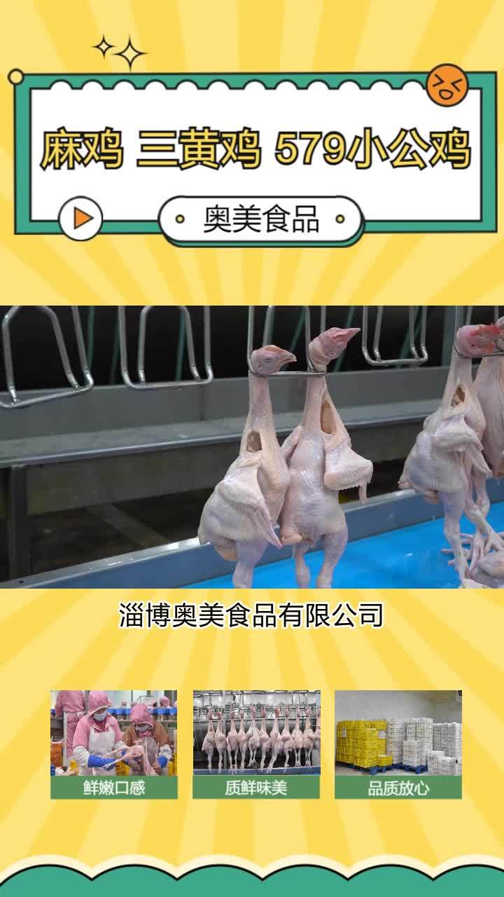 麻鸡厂家 小公鸡生产厂家