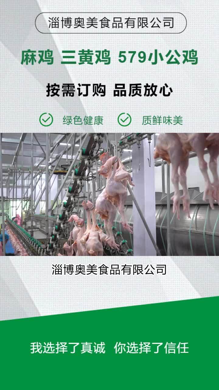 冷鲜579小公鸡供应链 冷冻麻鸡生产厂家