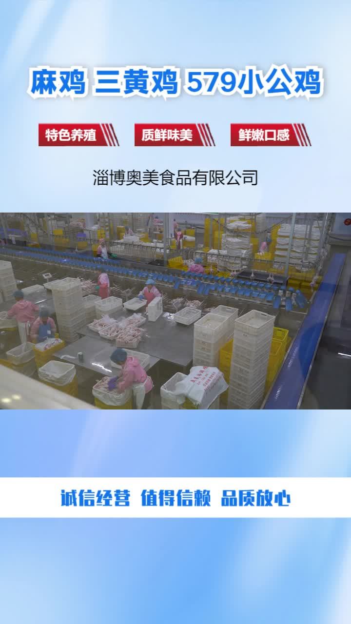 三黄鸡生产厂家 579小公鸡生产厂家
