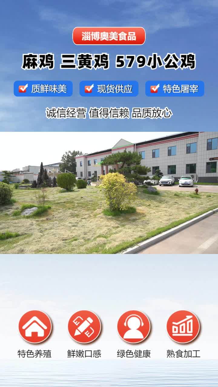 冷冻小公鸡加工厂 三黄鸡供应链