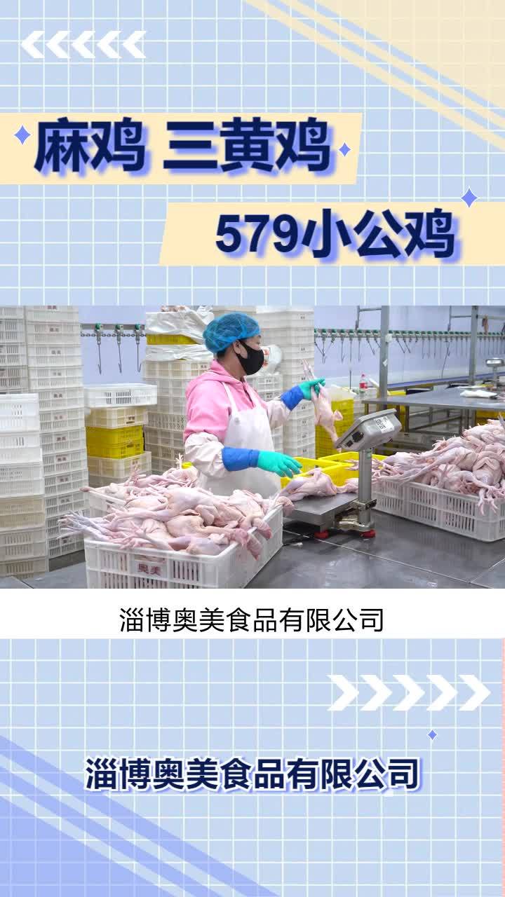 小公鸡厂家 冷鲜麻鸡批发 冷冻579小公鸡供应商