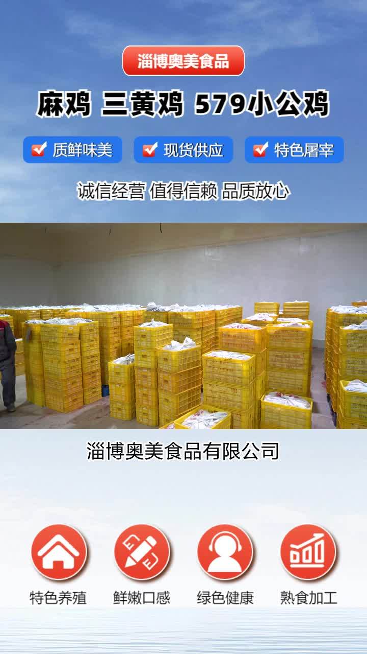 冷鲜579小公鸡供应商 麻鸡批发 冷鲜小公鸡生产厂家