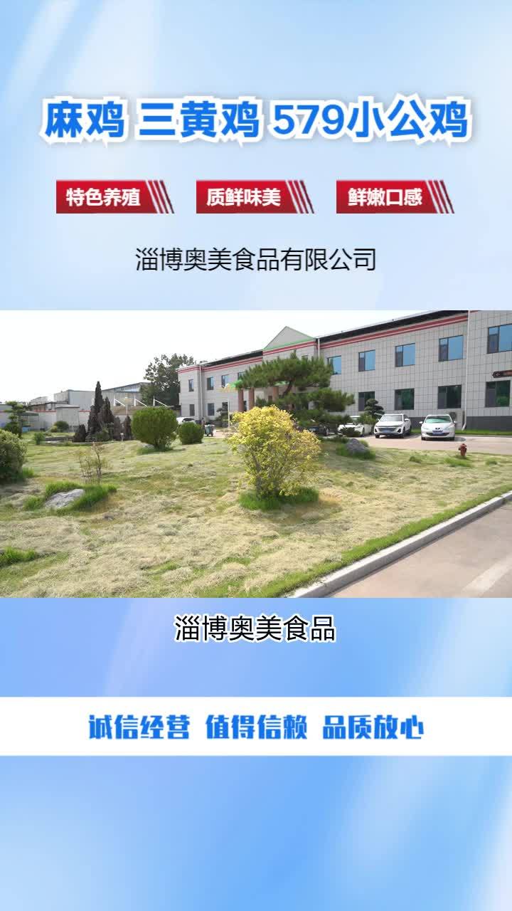 冷鲜麻鸡供应商 冷冻麻鸡供应商 冷鲜小公鸡批发