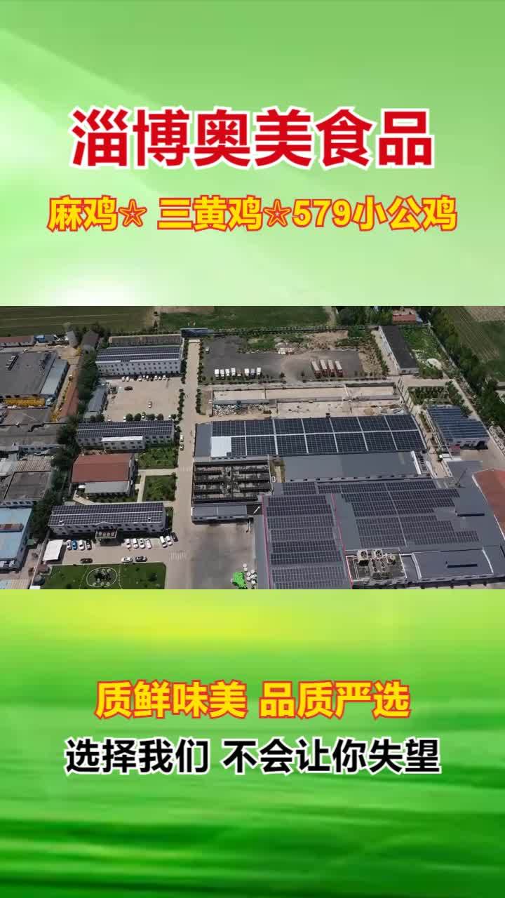 麻鸡价格 三黄鸡批发 冷冻三黄鸡生产厂家
