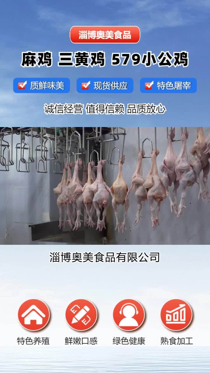 冷冻三黄鸡批发 冷鲜579小公鸡批发