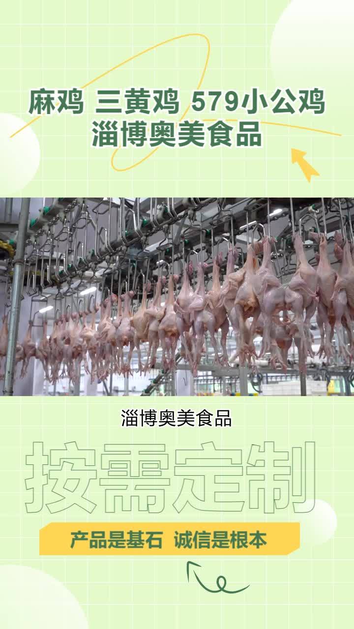冷冻麻鸡生产厂家 冷鲜579小公鸡价格