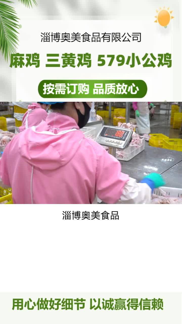 冷冻麻鸡价格 小公鸡价格 冷鲜三黄鸡加工厂