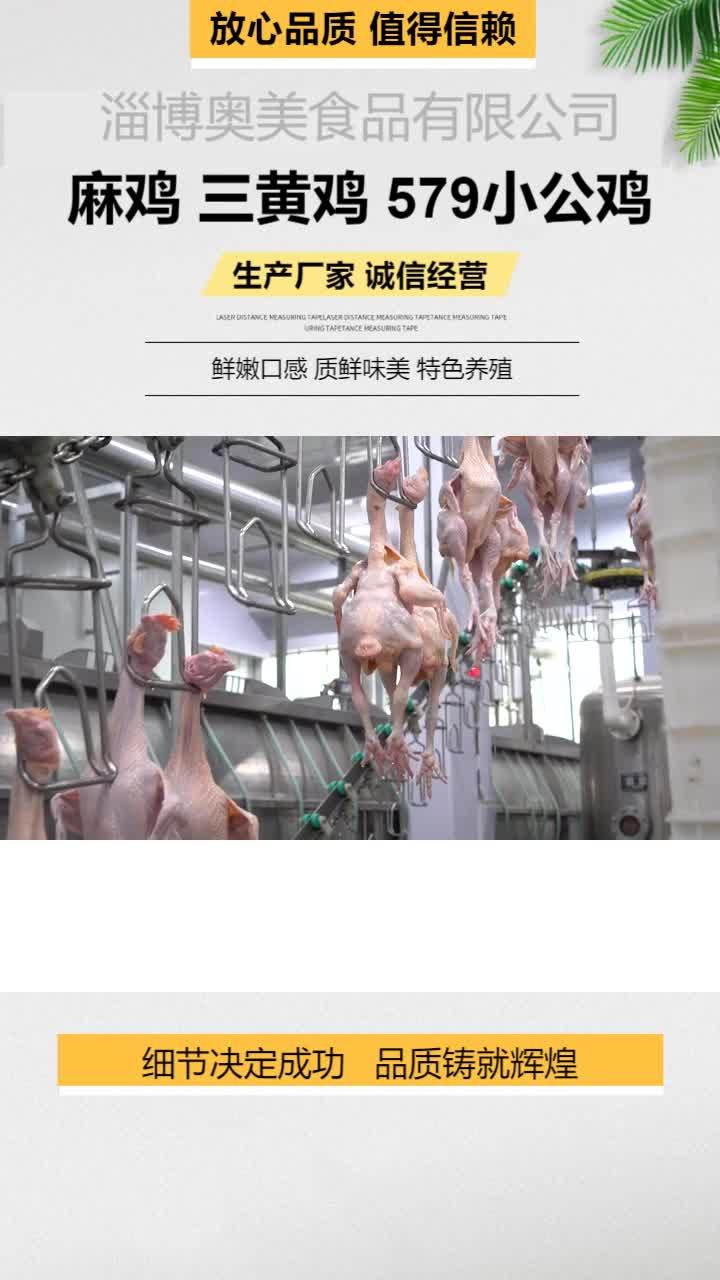 冷鲜麻鸡加工 冷冻小公鸡价格 三黄鸡价格