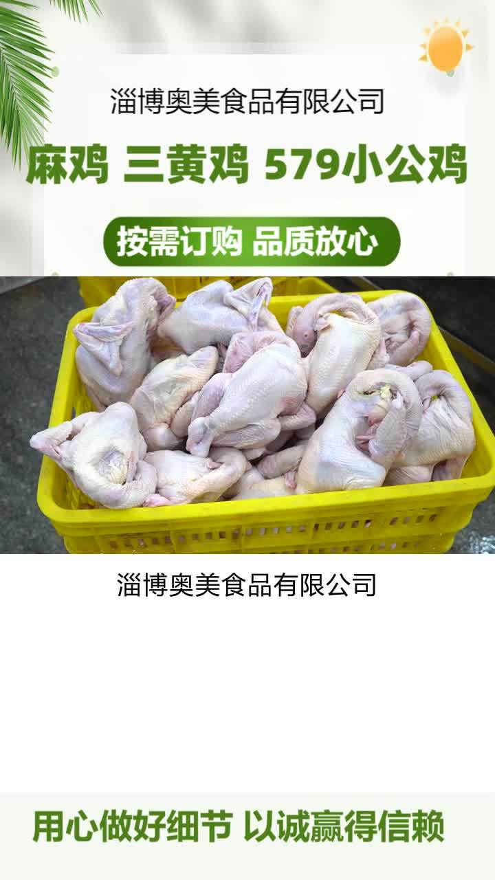 冷冻三黄鸡批发 冷鲜579小公鸡供应链 冷冻三黄鸡加工