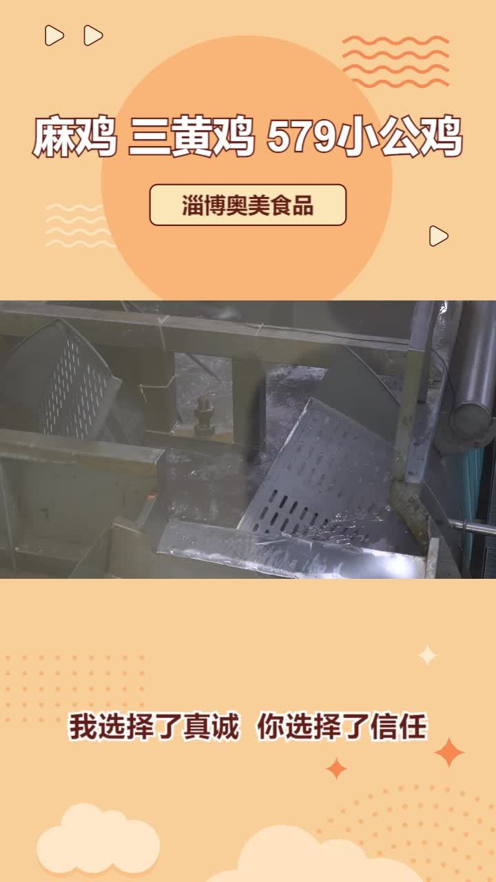 579小公鸡批发 冷鲜麻鸡价格 冷冻小公鸡加工