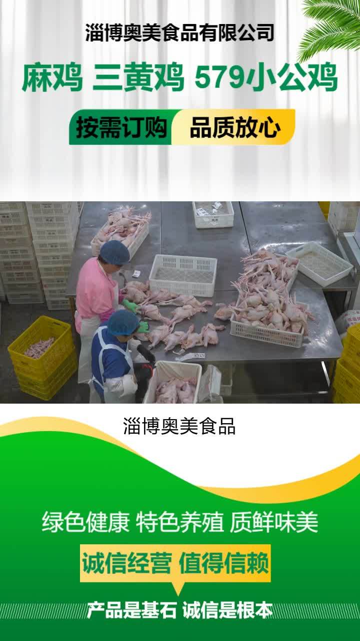 冷冻小公鸡价格 冷鲜579小公鸡供应商