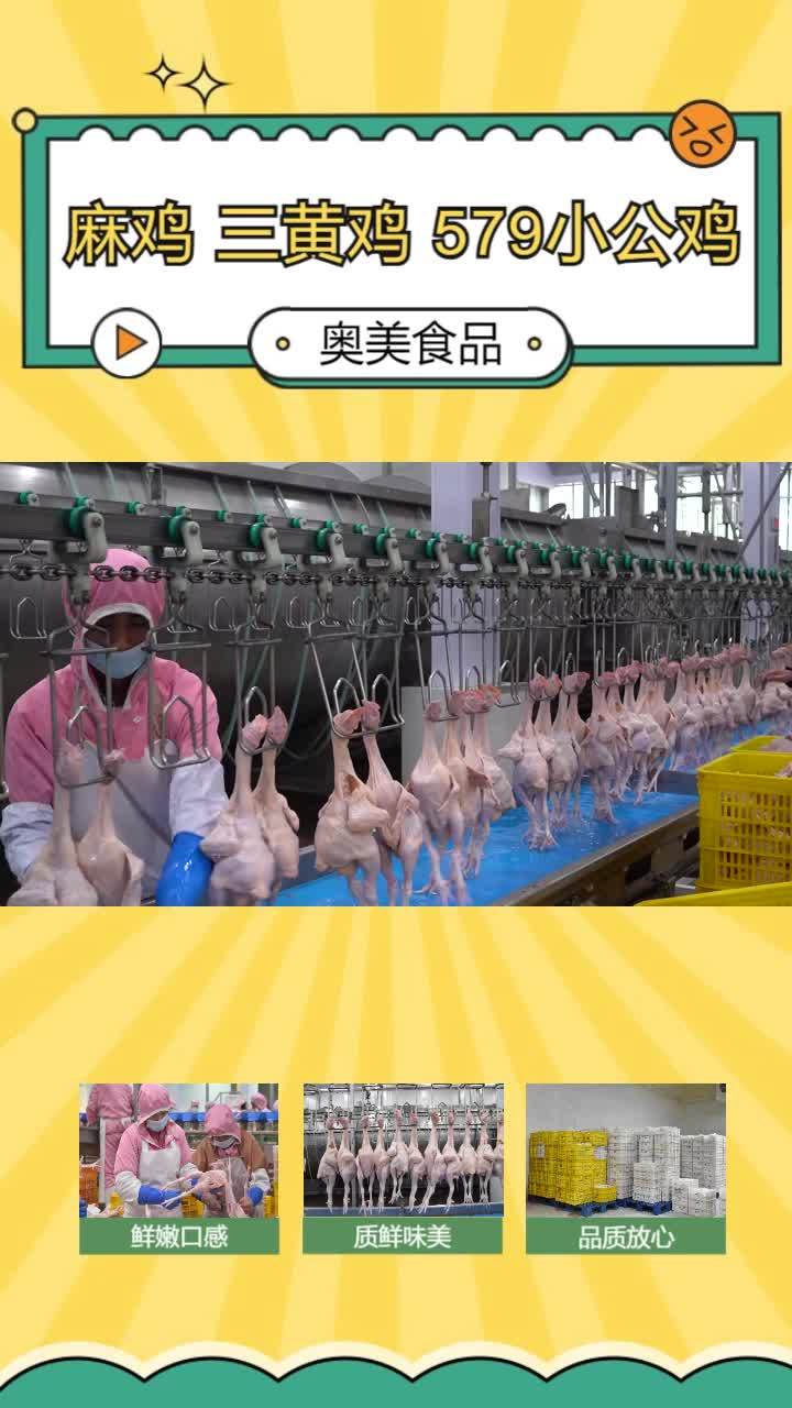 冷冻579小公鸡哪家好 河南三黄鸡 小公鸡 冷鲜麻鸡