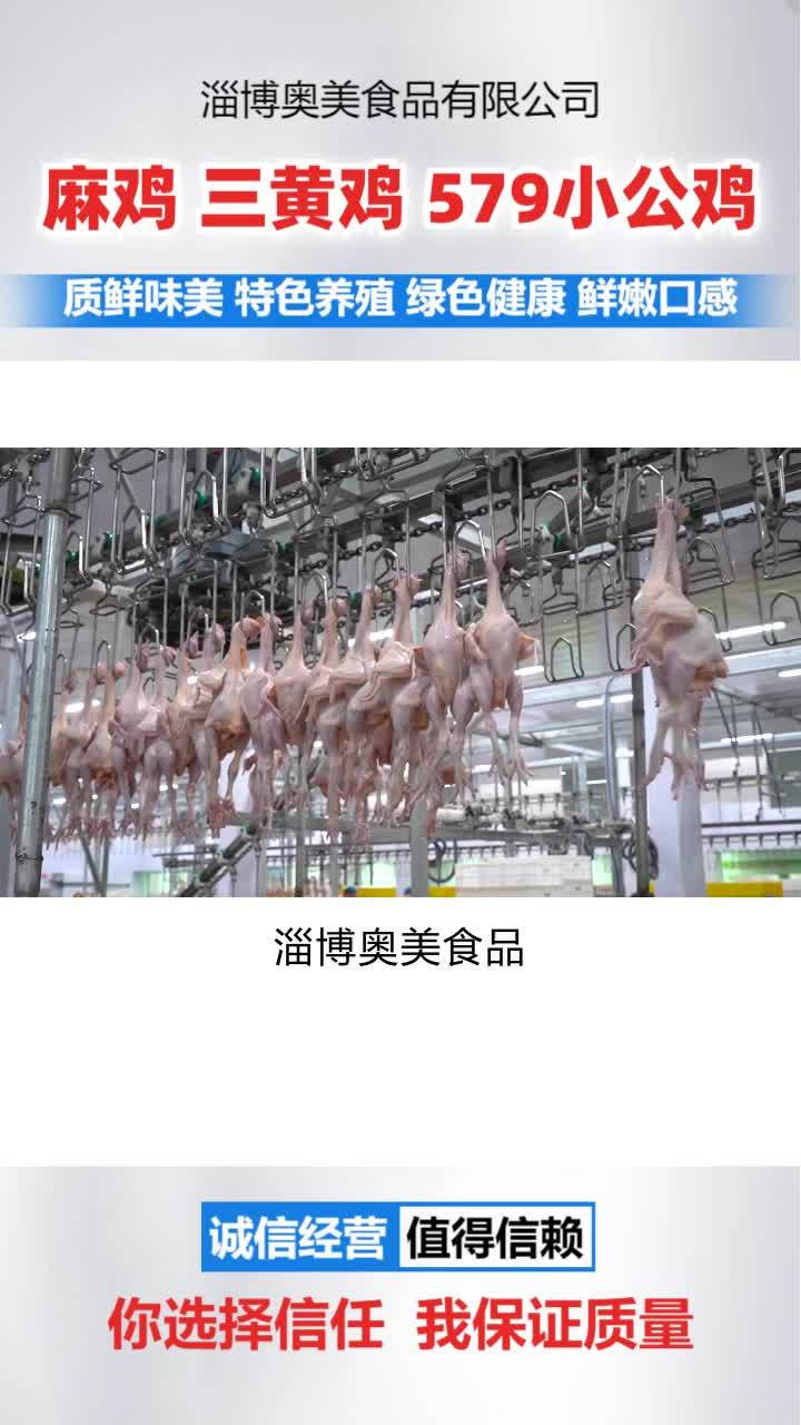 烟台三黄鸡价格 威海冷冻三黄鸡厂家 冷鲜麻鸡哪家好
