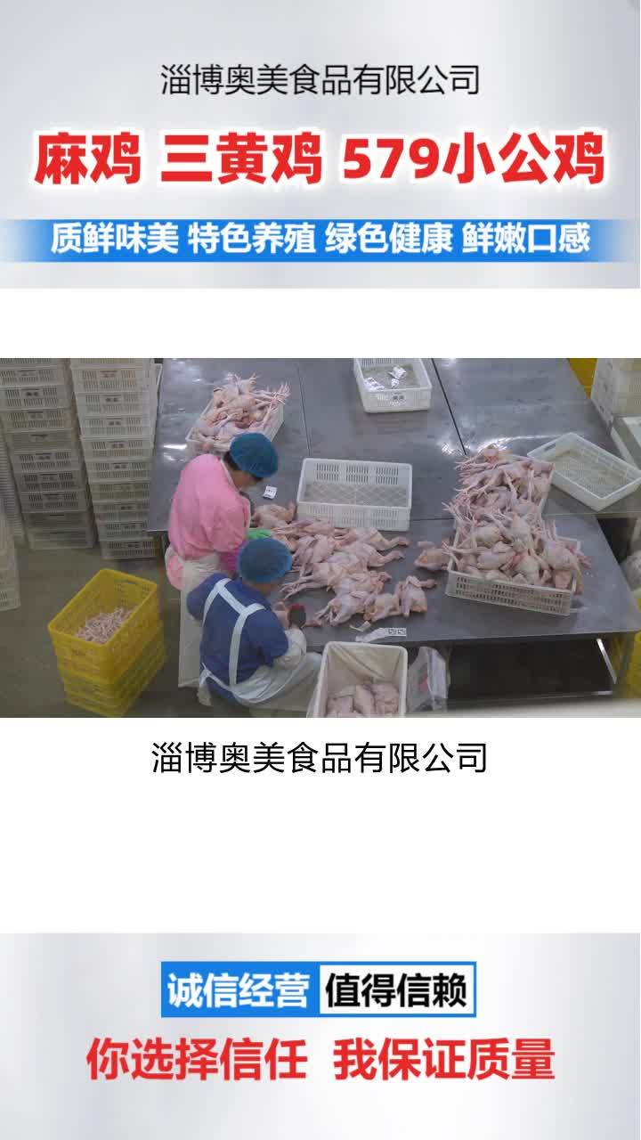 冷鲜麻鸡哪家好 山西579小公鸡 辽宁冷鲜小公鸡
