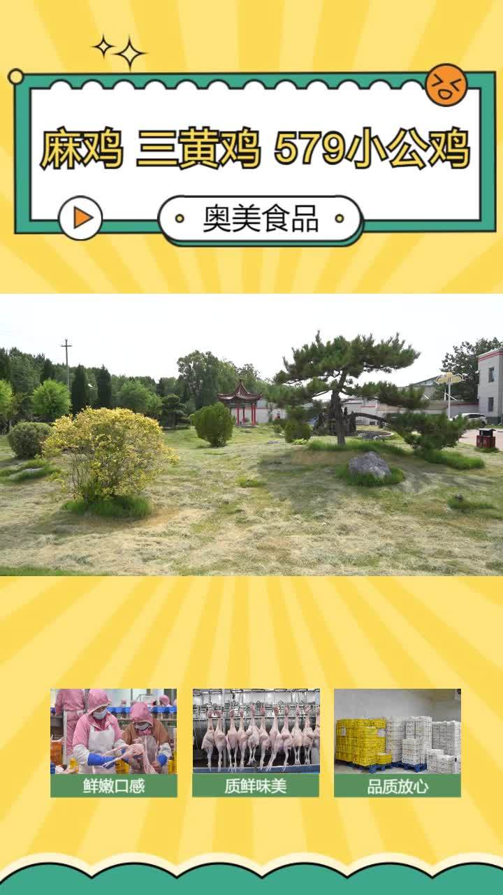黑龙江冷冻麻鸡批发 湖北冷鲜小公鸡供应链