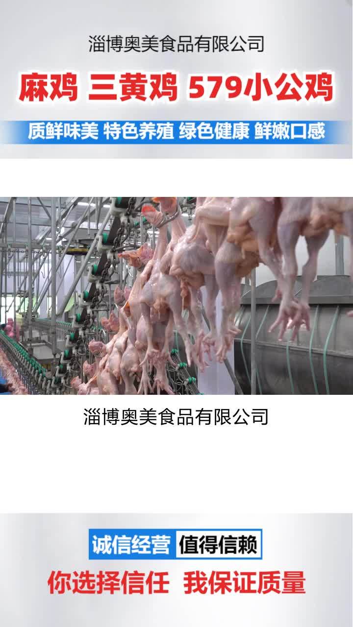 冷冻小公鸡 冷冻三黄鸡 冷冻三黄鸡价格