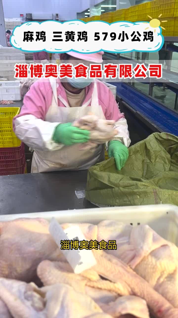 小公鸡价格 小公鸡供应链