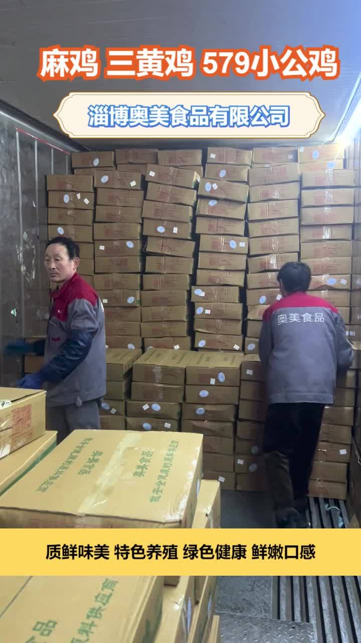 小公鸡哪家好 冷鲜麻鸡厂家