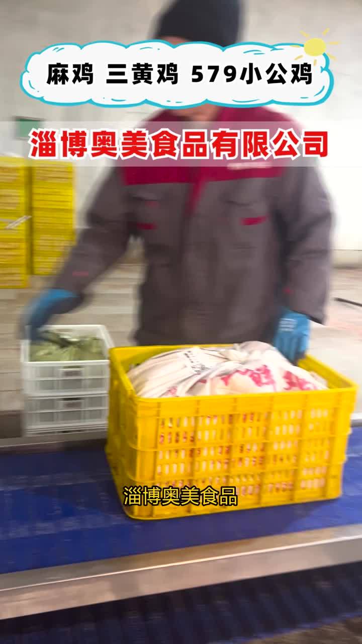 #冷冻579小公鸡生产厂家 #麻鸡加工厂