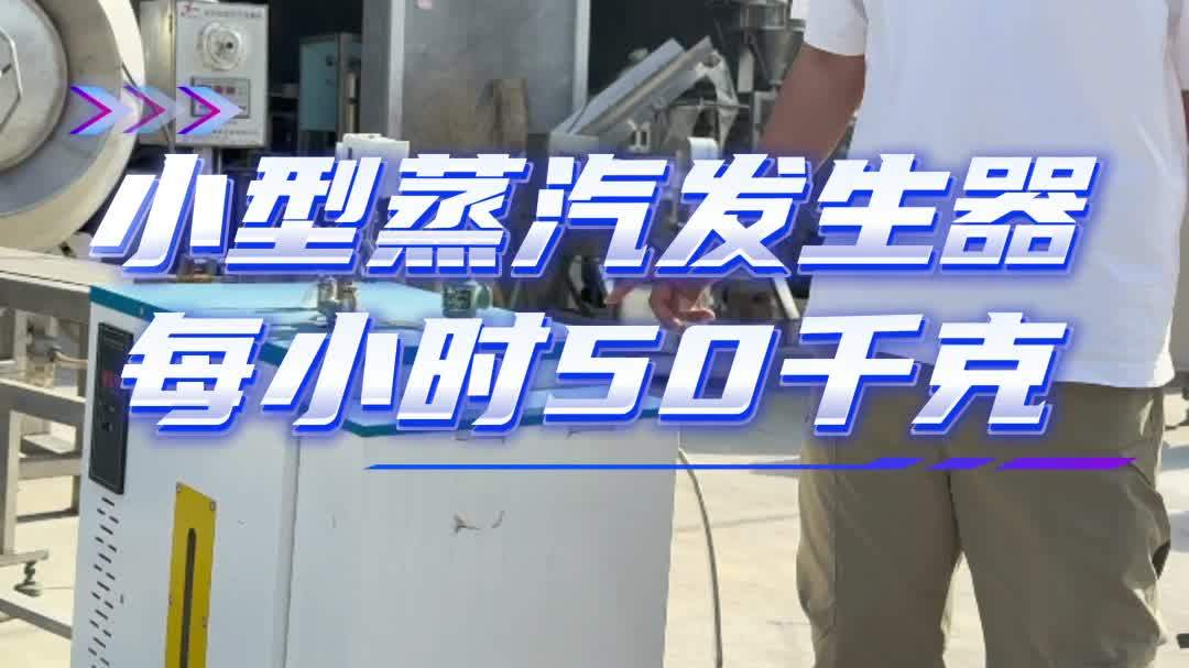 蒸汽发生器 二手蒸汽发生器 小型蒸汽发生器 电加热蒸