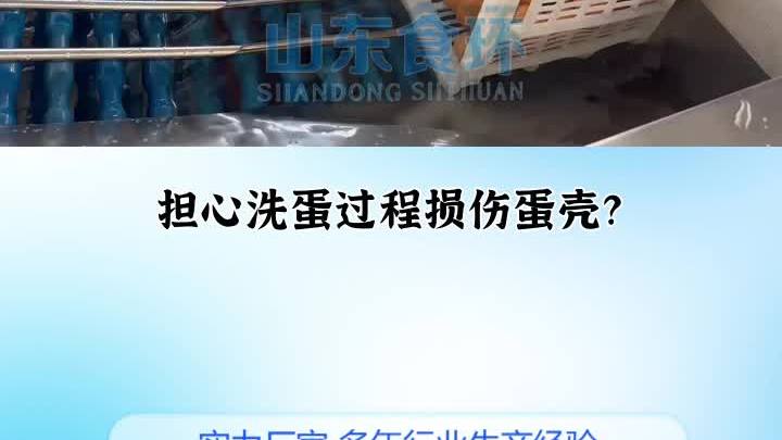 蛋品清洗机 鸡蛋清洗机 鸭蛋清洗设备 鸭蛋清洗设备