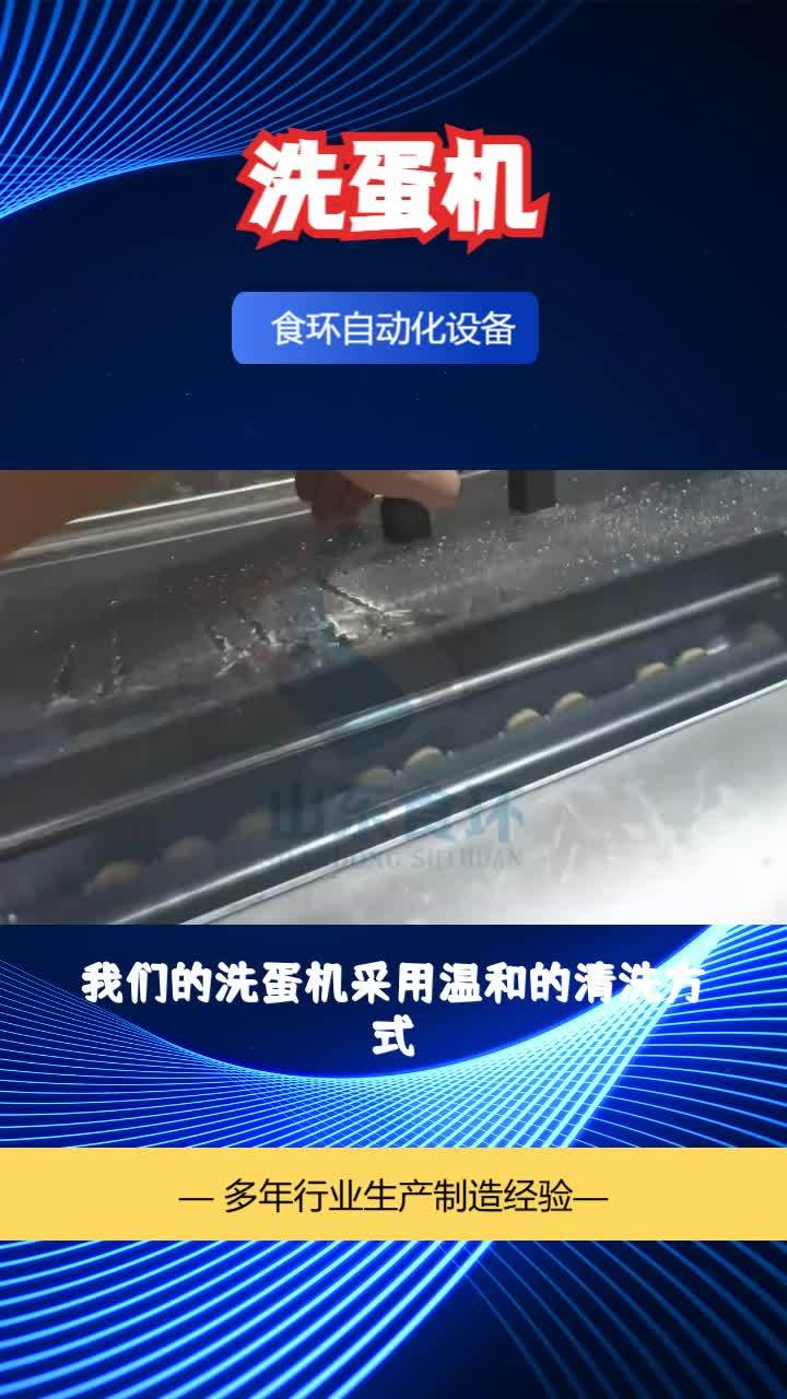 松花蛋清洗机 盐水蛋清洗机 鸭蛋清洗设备 松花蛋清洗机