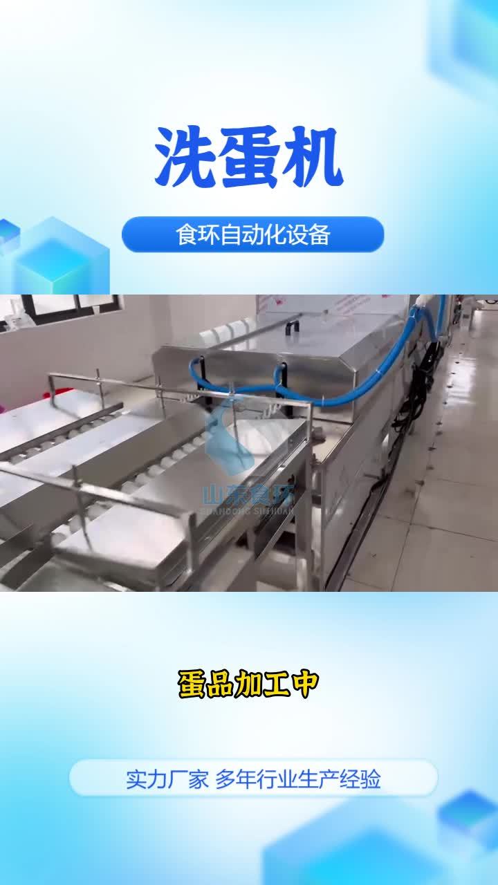 自动洗蛋机 商用洗蛋机 商用洗蛋机 咸鸭蛋清洗机 松