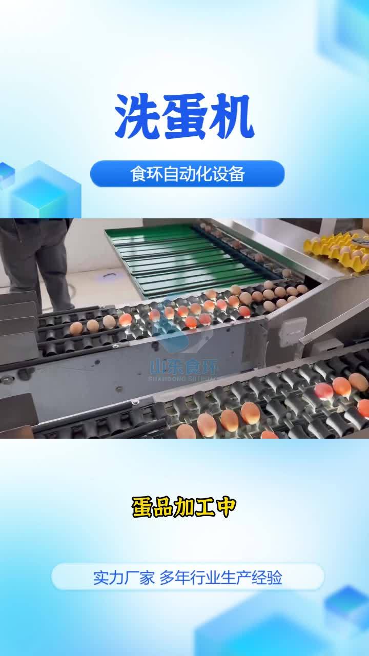 裹泥蛋清洗机 双排洗蛋机 鸭蛋清洗设备 保洁蛋清洗机