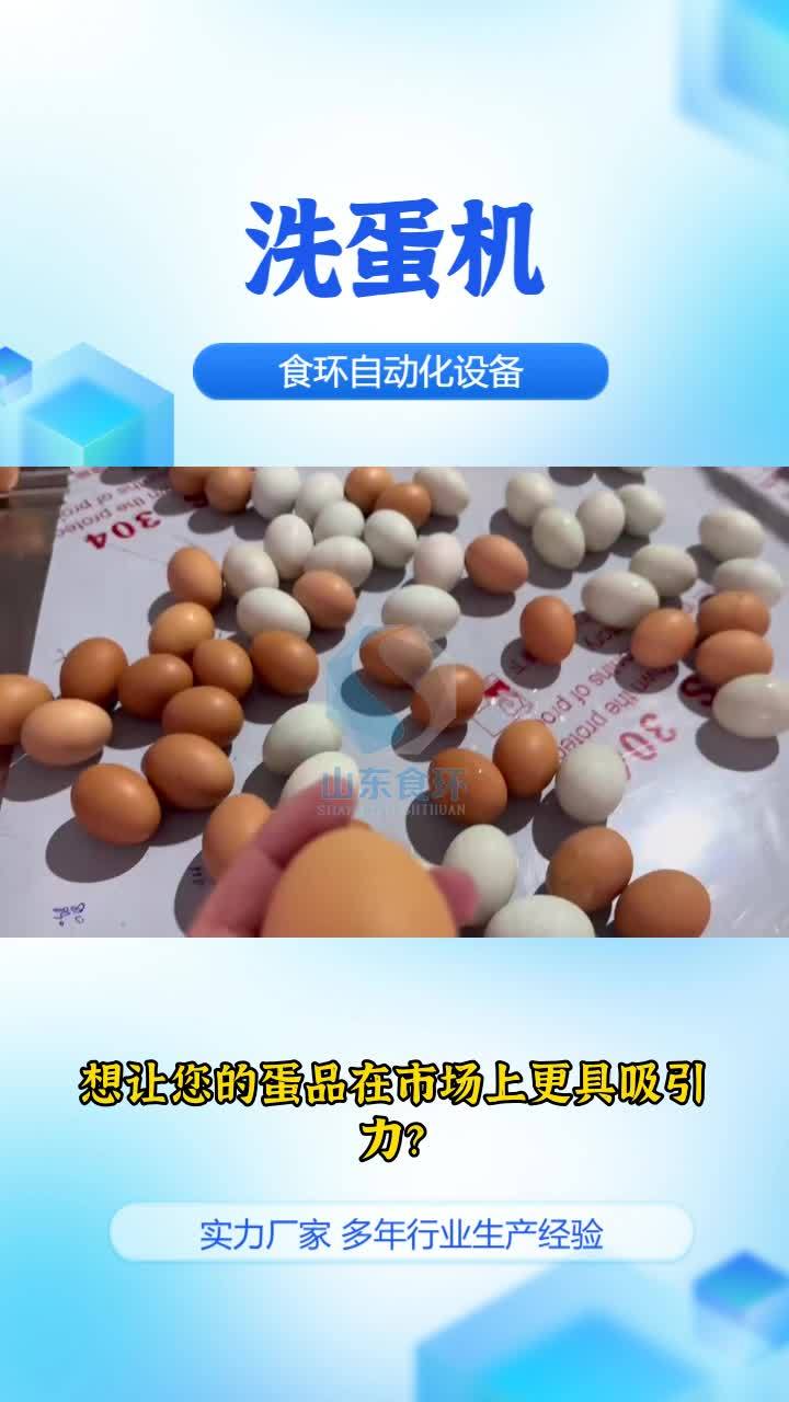 单排洗蛋机 鸡蛋清洗流水线 鸭蛋清洗流水线 保洁蛋清洗机 鸭蛋清洗设备 鸭蛋清洗流水线