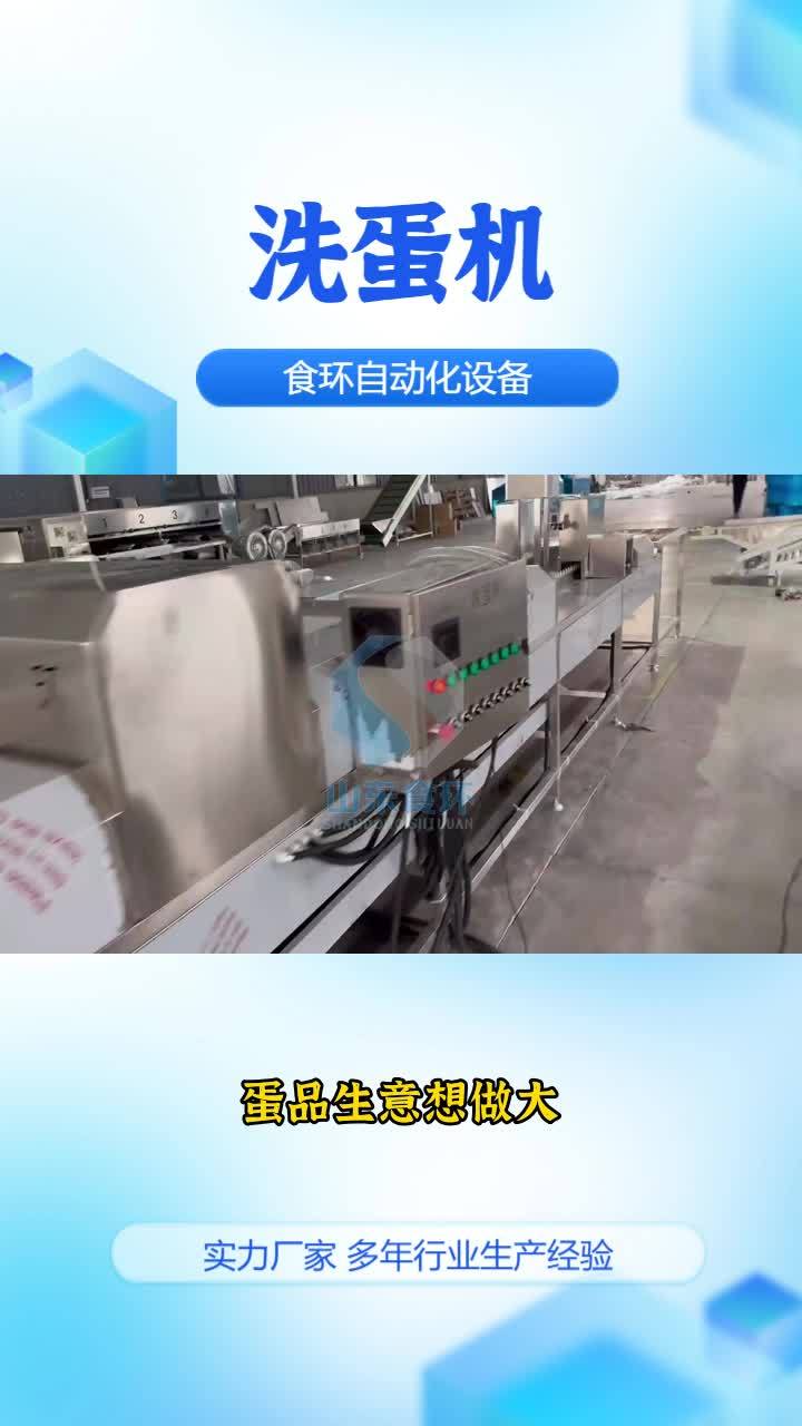 鸭蛋洗蛋机 商用洗蛋机 保洁蛋清洗机 商用洗蛋机 咸鸭蛋清洗机 松花蛋清洗机