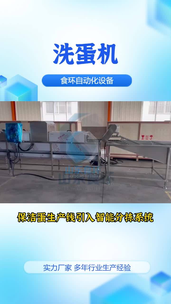 蛋品清洗机 蛋品清洗机 大型洗蛋机 鸭蛋清洗设备 商用洗蛋机 自动洗蛋机