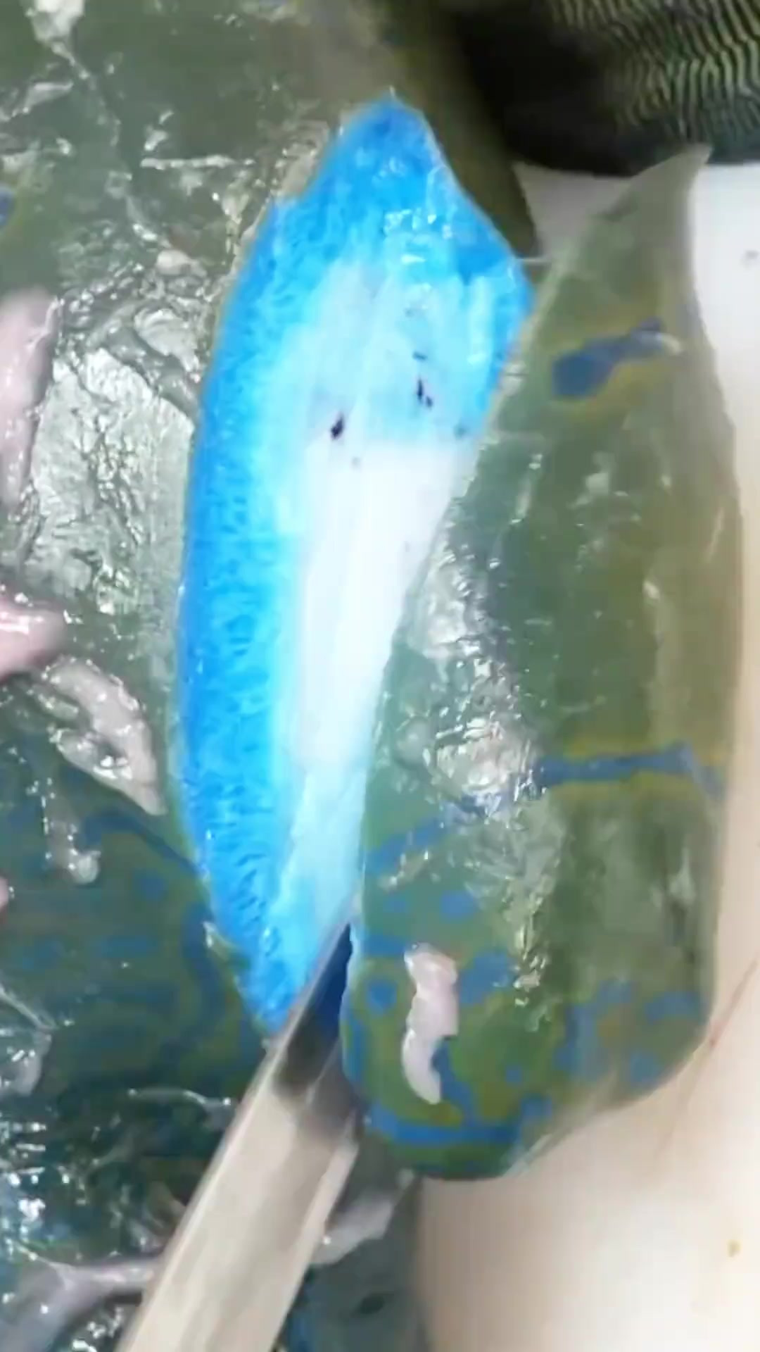 探秘世界濒危蓝色深海怪鱼，把人拉下水