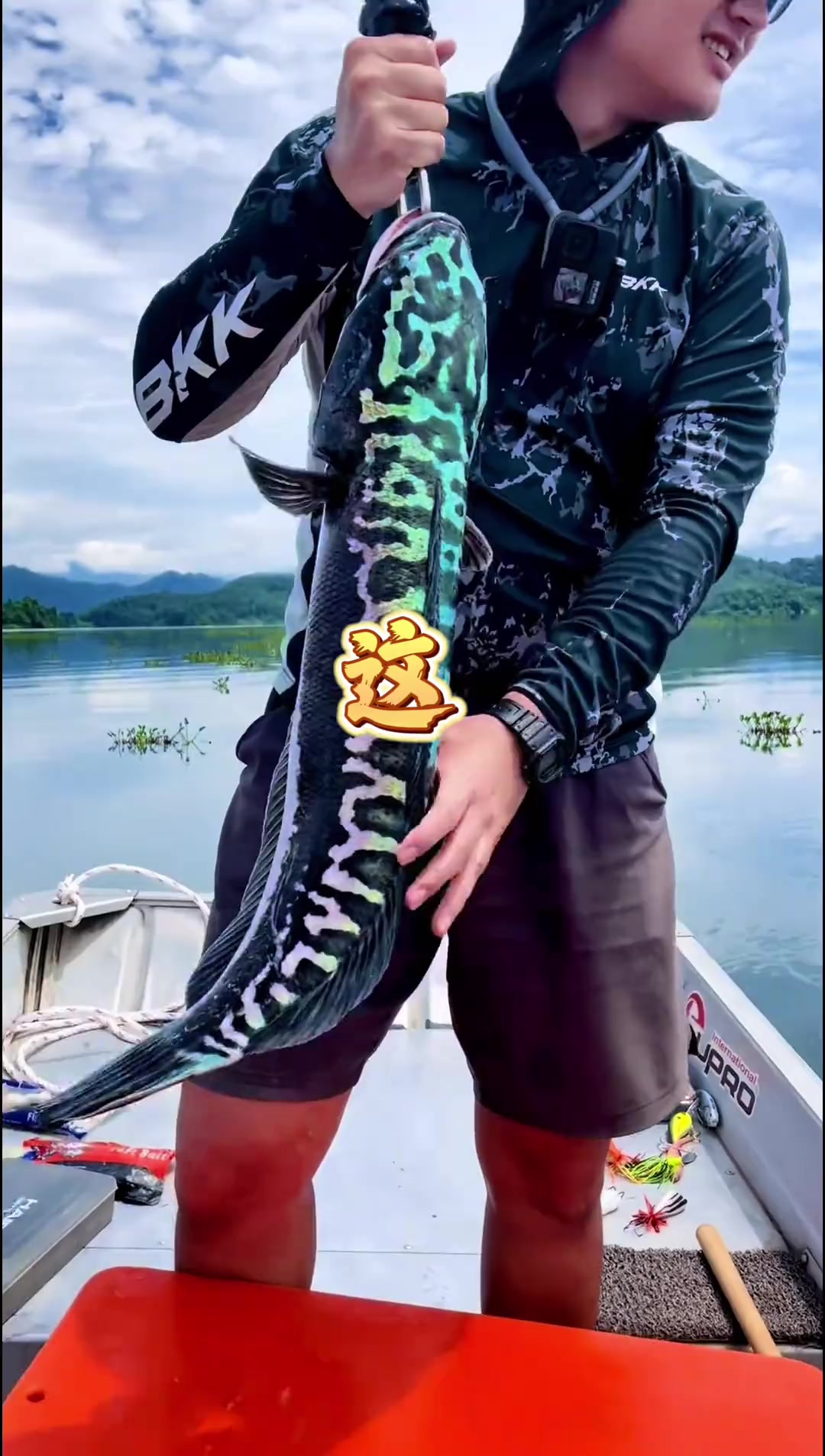 探钓稀有蓝色神秘怪鱼，性情残暴