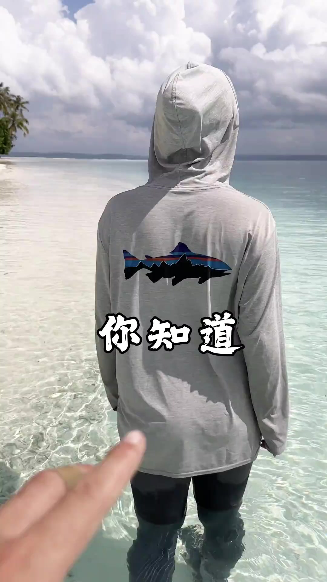 把人拉下水的门板级怪鱼，可怕的世界级鱼种，一定要看到最后