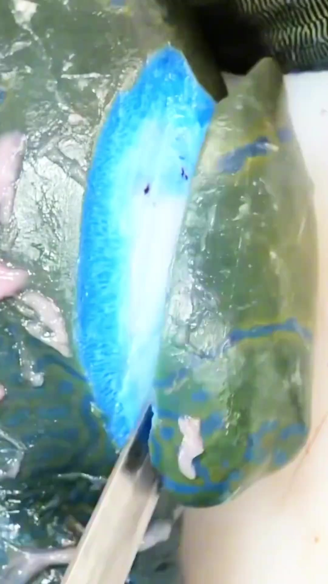 探钓世界濒危蓝色深海怪鱼，稀有鱼涮火锅，一定要看到最后