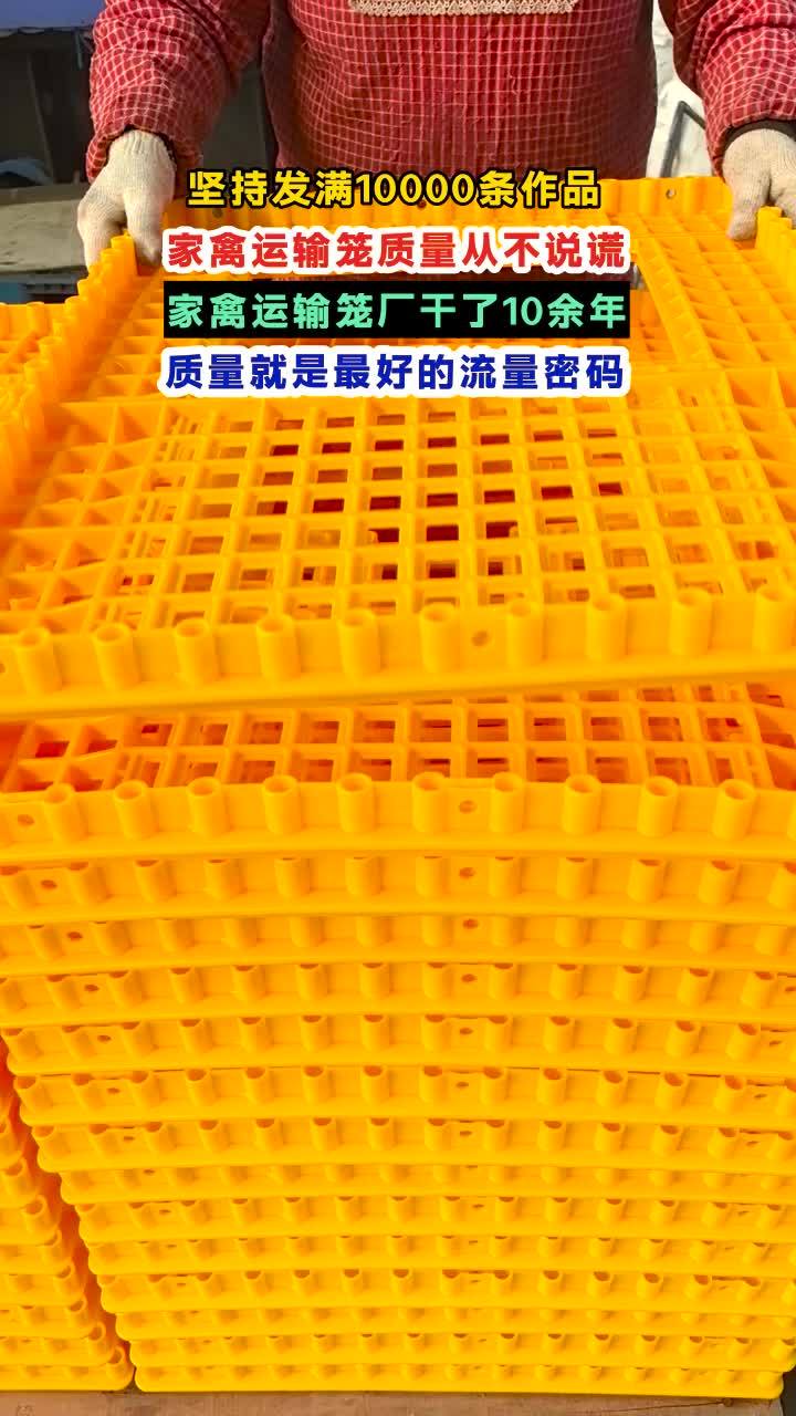 广西加厚鸭苗箱 #加厚鸭苗箱 #家禽运输笼 #运输笼