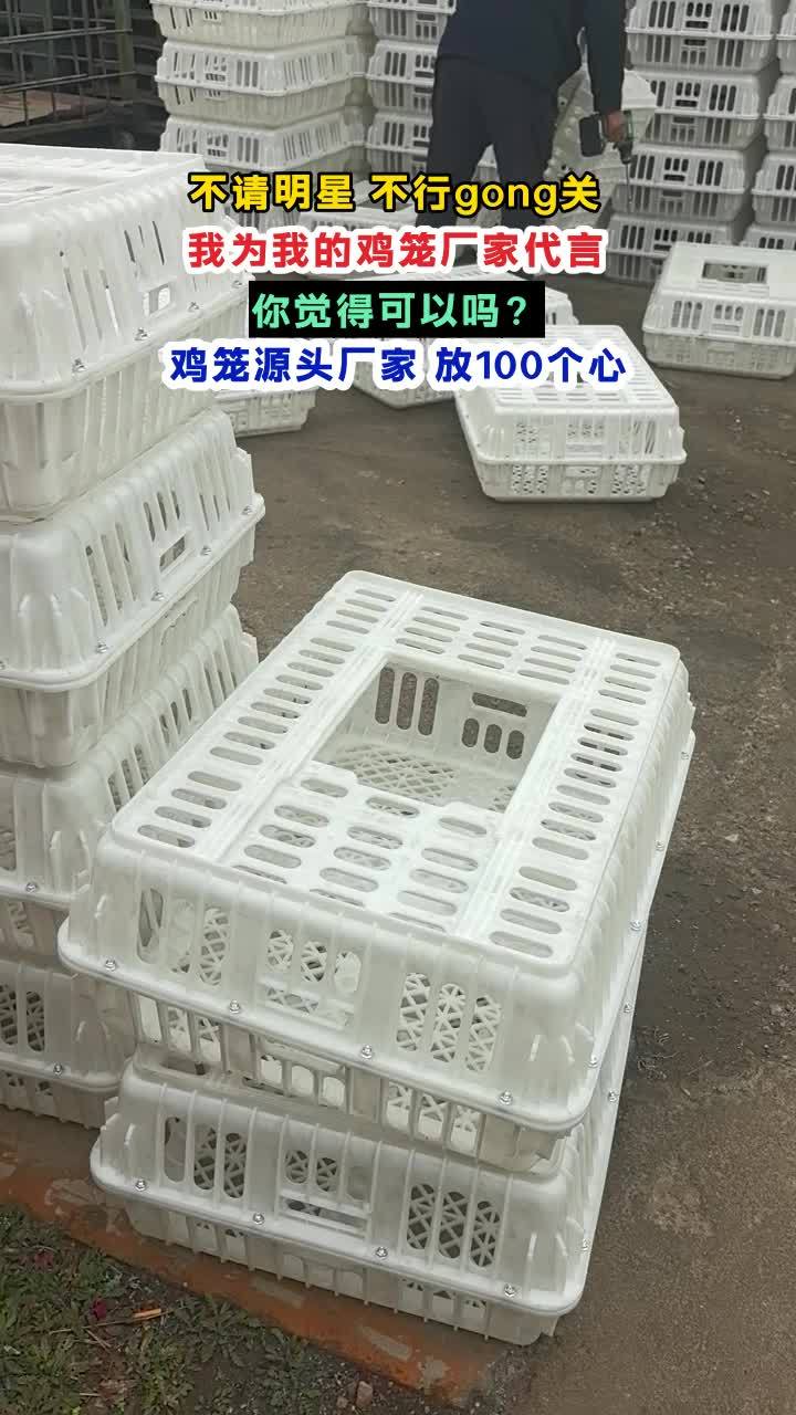 江西方笼 #方笼 #塑料鸡笼子 #鸡苗运输箱