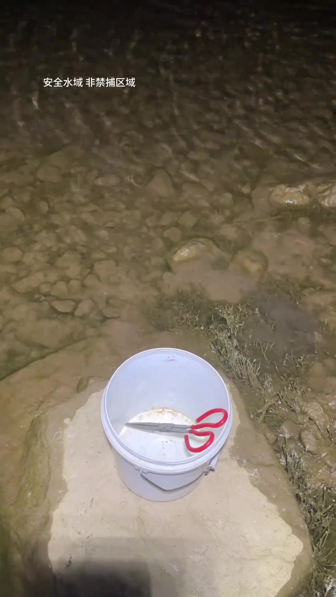 夜晚小河抓鱼，满满的都是回忆，真的超好玩