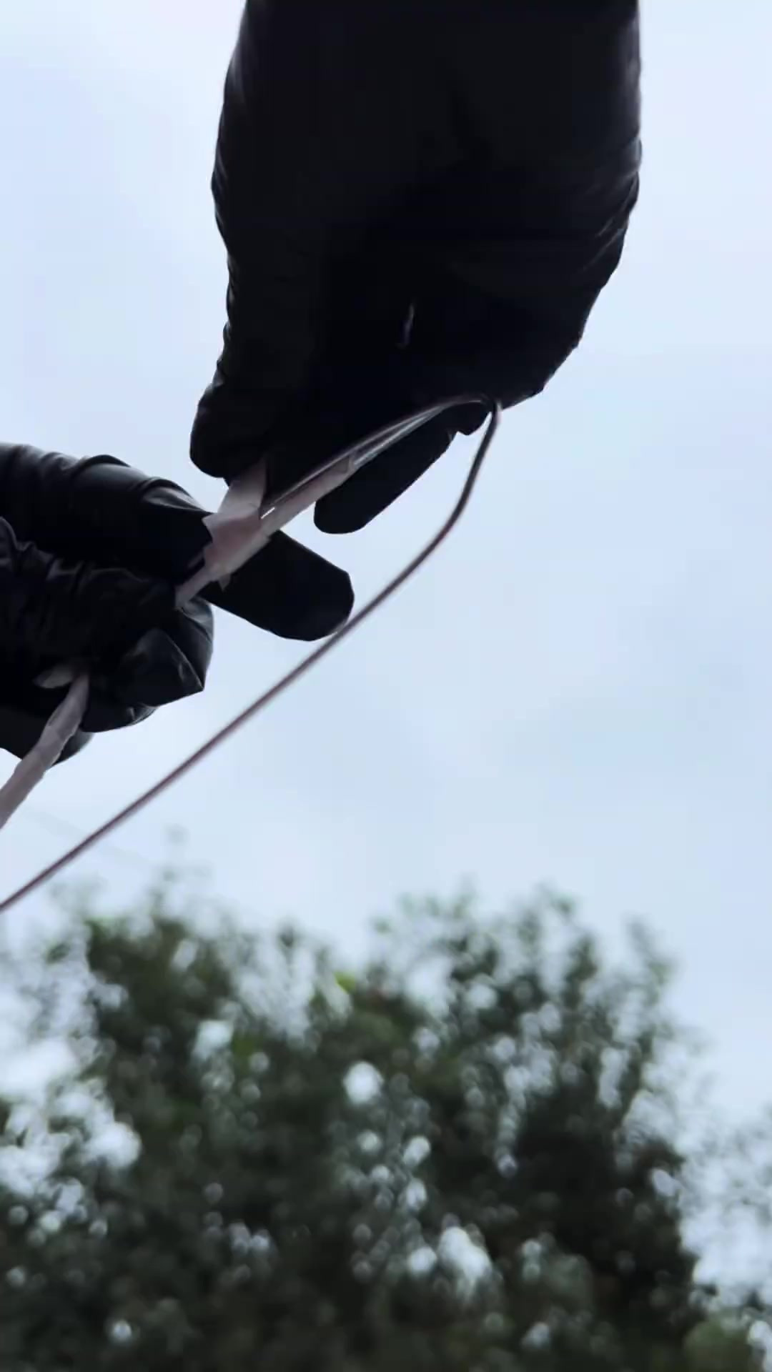 看看用面是怎么做成的荷花鱼，厉害不