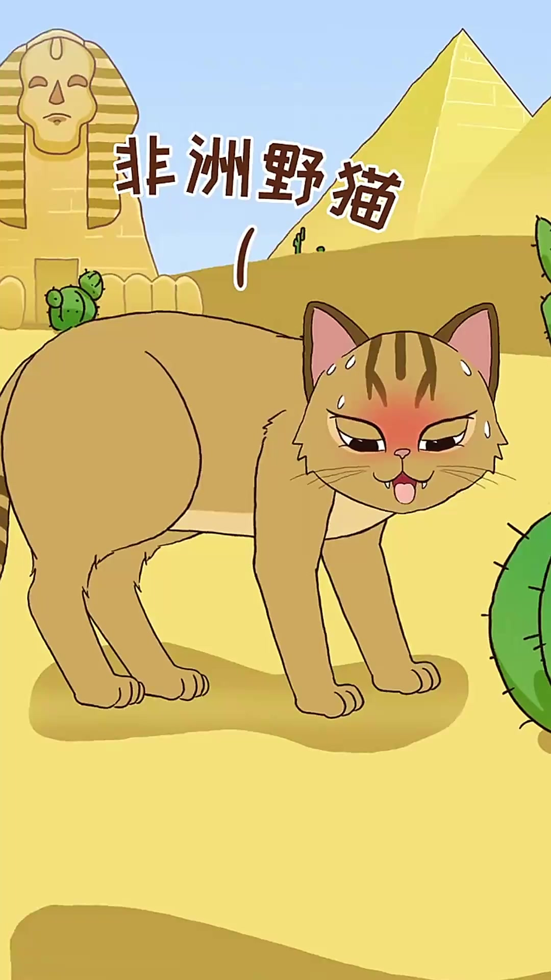你被“猫咪爱吃鱼”这句话骗了多久?盲目喂鱼,会影响猫咪健康