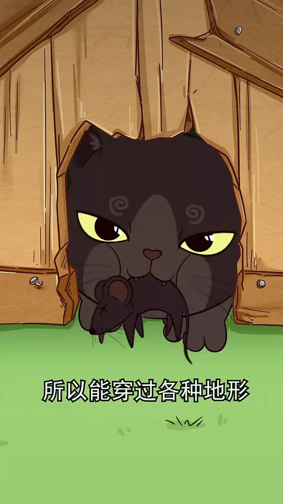 为什么猫咪是液体,猫咪肉垫是什么味道,为什么会踩奶
