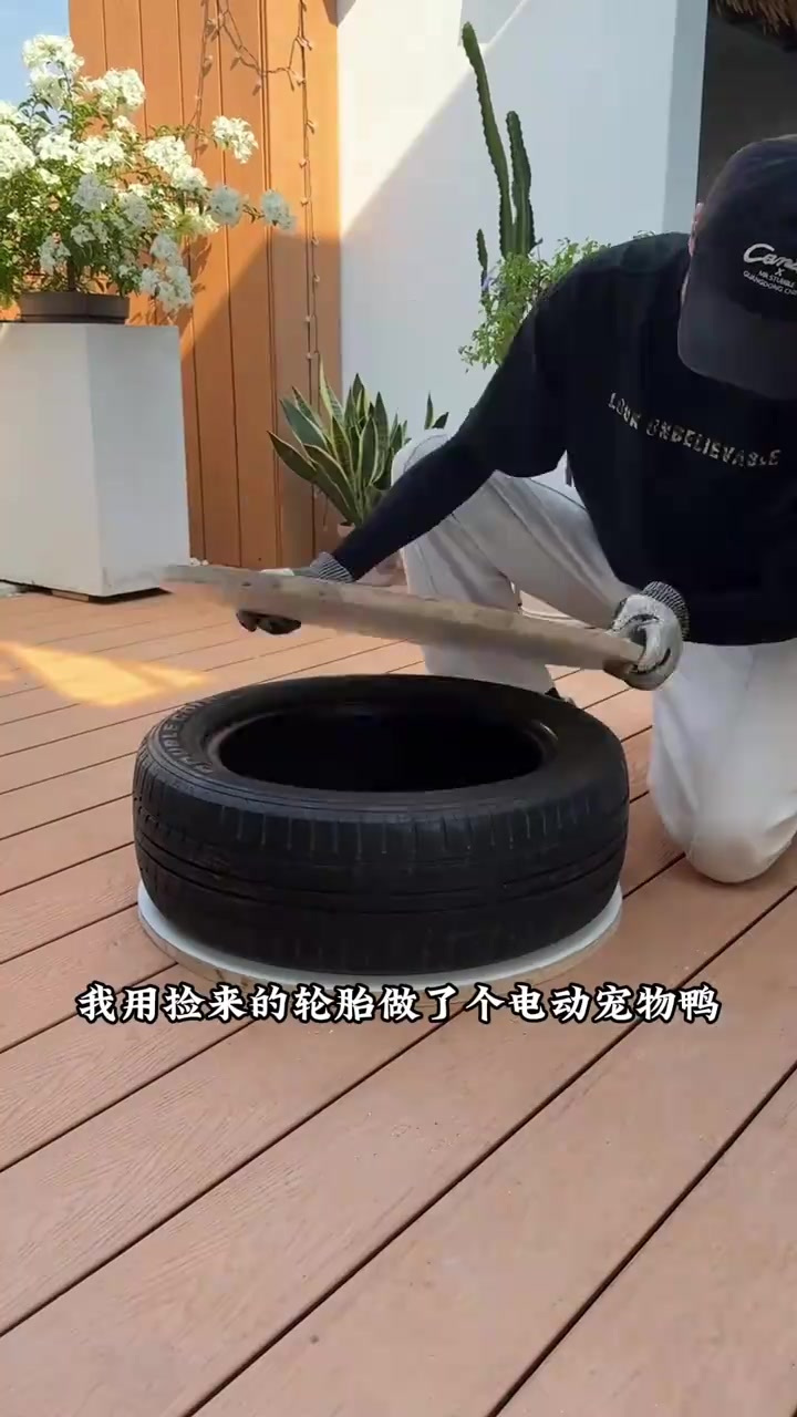 我用废旧轮胎，做了个电动宠物鸭