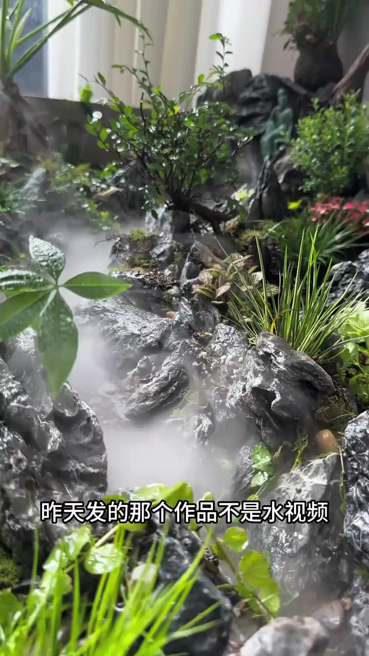 来了,你们要的的水陆缸过程来了
