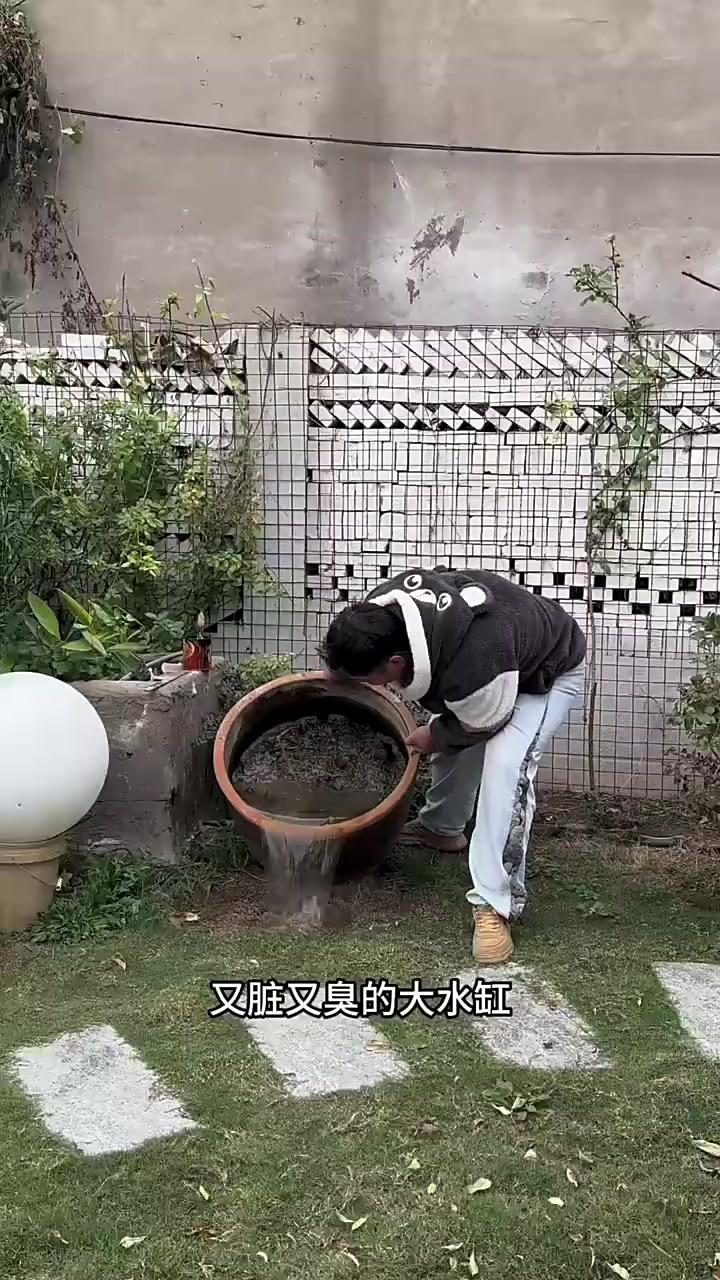 又脏又臭的大水缸，摇身一变被改造成了古法鱼缸