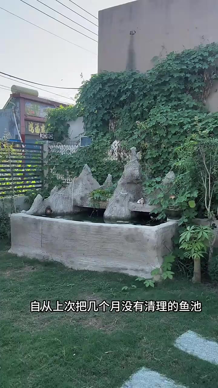 鱼池后续来啦，说好的不买鱼孙超伟又买了