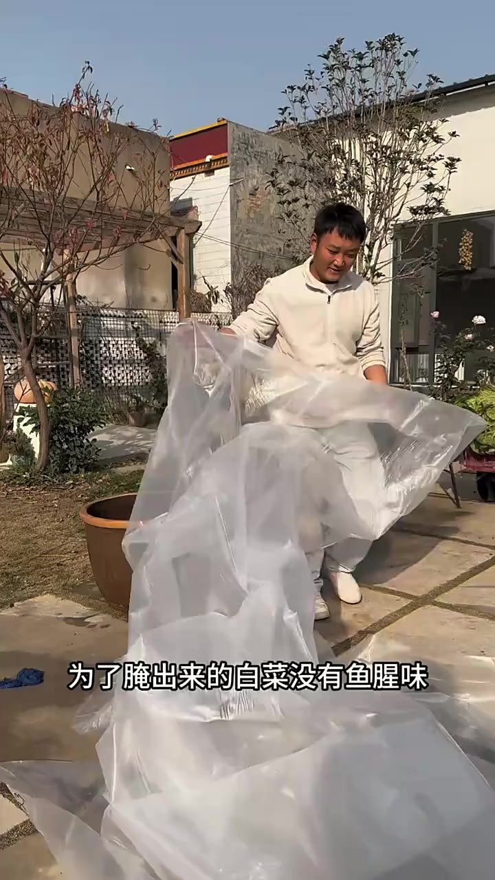 鱼缸腌白菜，你们说会有鱼腥味吗