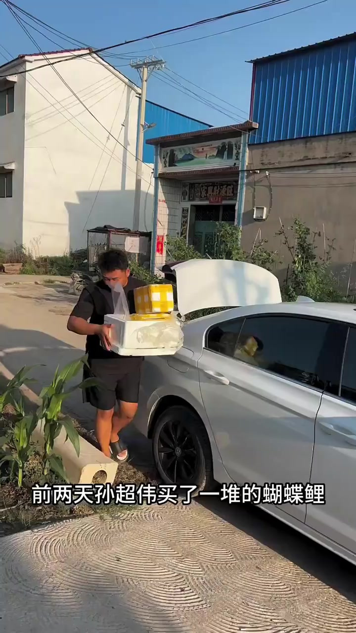 听你们的,最终还是给鱼缸里的石头拿出来了
